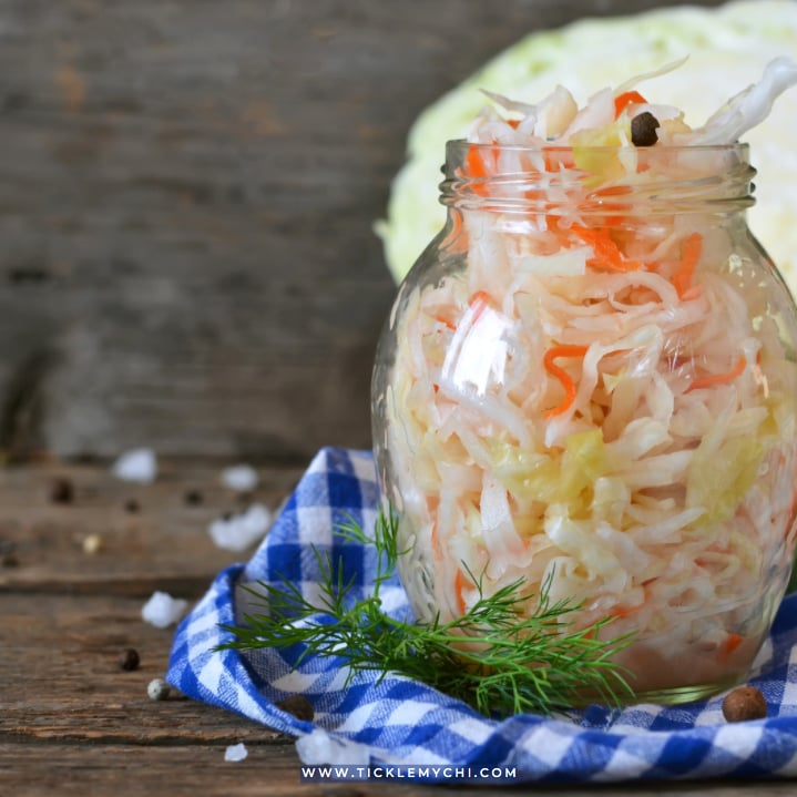 fermented_food